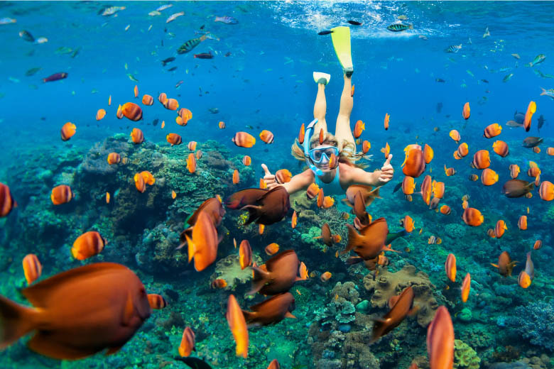 women snorkeling in Zanzibar with a view of coral reefs and lots of orange fish 