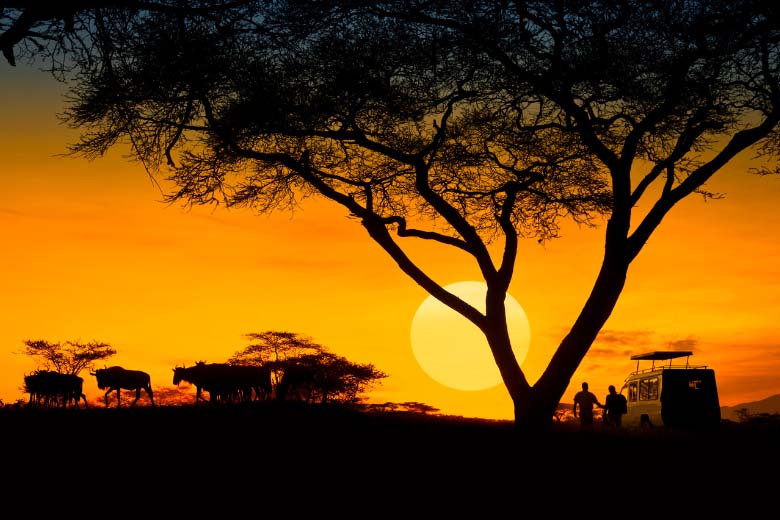 a group of people standing next to a safari vehicle admiring the sun setting over an African savanna with wild animals herding in the near distance