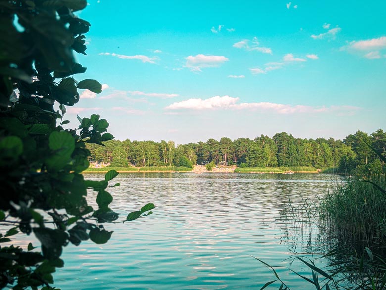 a view over the crystal clear swimming lake of Tonsee amongst the pine trees and the sandy beach area on the other side of the lake