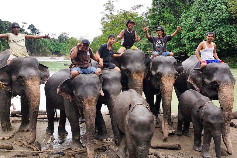 Is Tangkahan Elephant Sanctuary in Sumatra Indonesia a True and Ethical Sanctuary