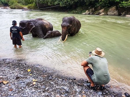 list of ethical elephant sanctuaries to visit 