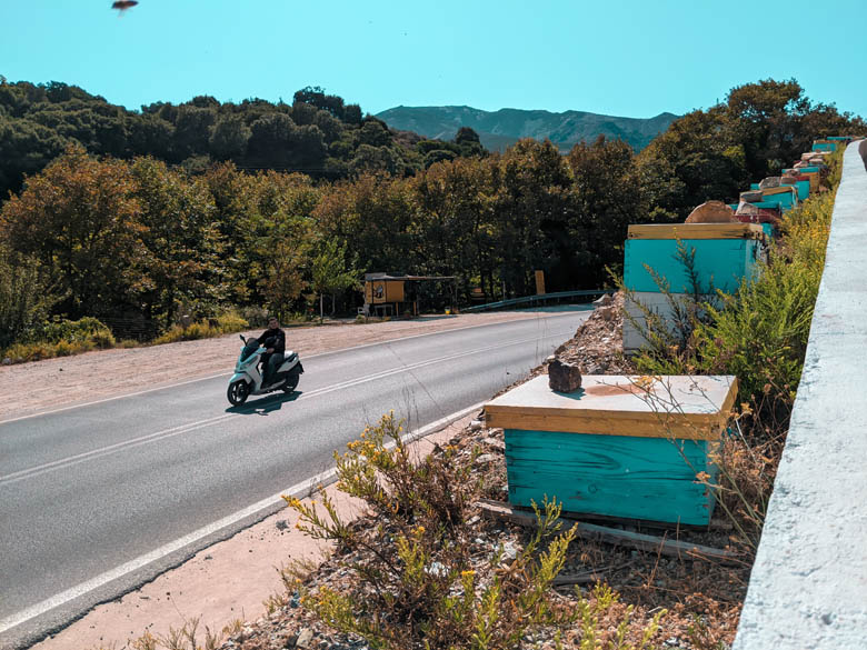 a man driving on a motorcycle ona road in crete with a view of bee hive boxes on the side of the road