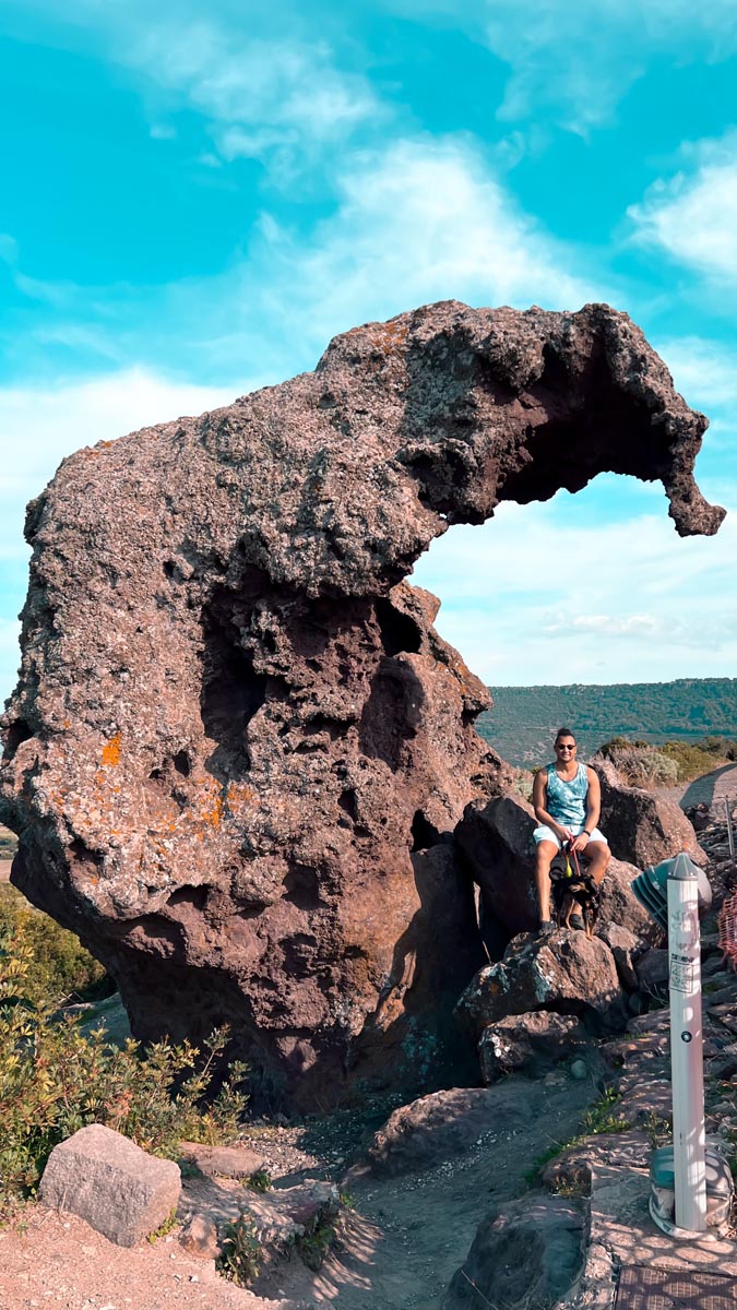 a man and a dog sit under elephant rock in north central sardinia