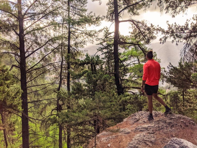 a solo traveler hiking in crete with a view of the forest and mountains 